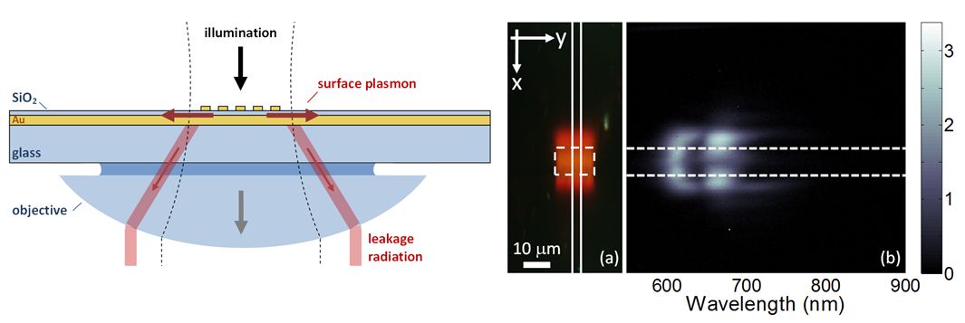 Leakage radiation micrscopy and spectroscopy