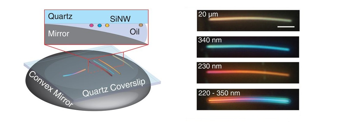 Schematic of measurement setup and darkfield images of silicon nanowires above a curved mirror